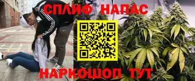 винт Будённовск